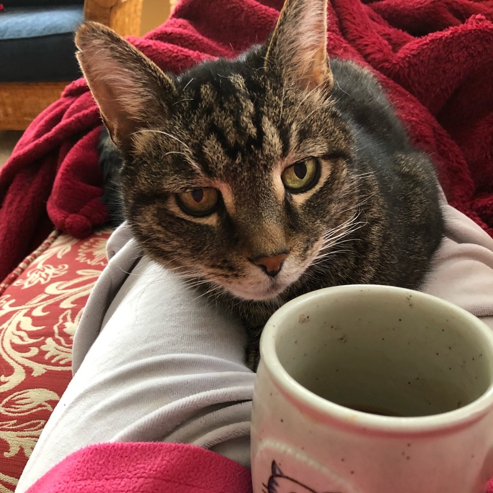 Meet your Posher, Lisa